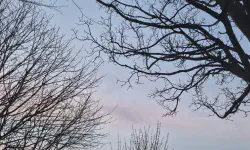 Featured image of post 二月報告